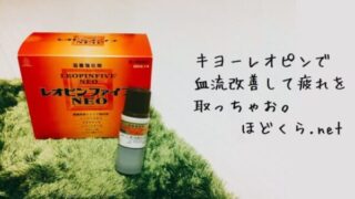 レオピンファイブNEOを実際に使用している様子